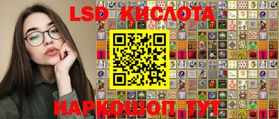 дмт Новокубанск